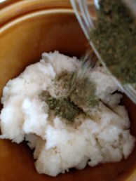 IMG_20150909_123512744