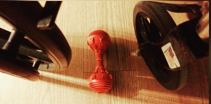 Dog toy between the wheels of a wheelchair on the floor